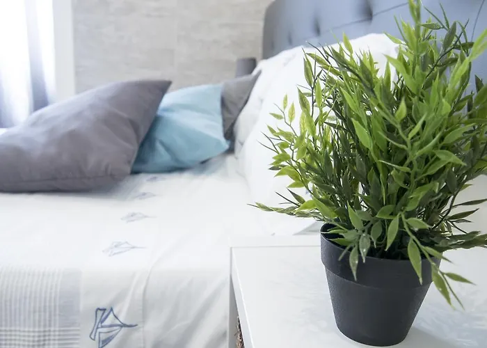 Casa de hóspedes Furabeach Alojamentos Furadouro